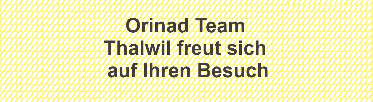 Coiffeur Thalwil Orinad Coiffure Header